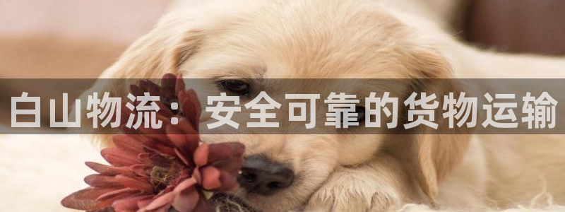 电子游戏888集团网站